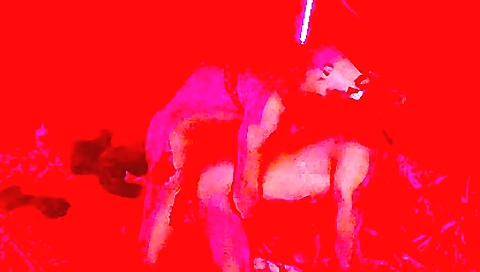 Mas suzuki has a sex with streako ivana