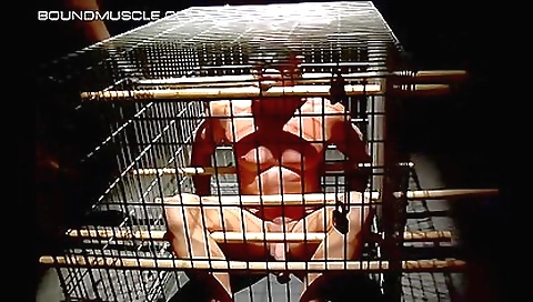 Married guy in whippedass video